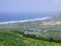 View from Cherry Tree Hill